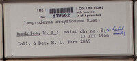 Image Associated With the Occurence